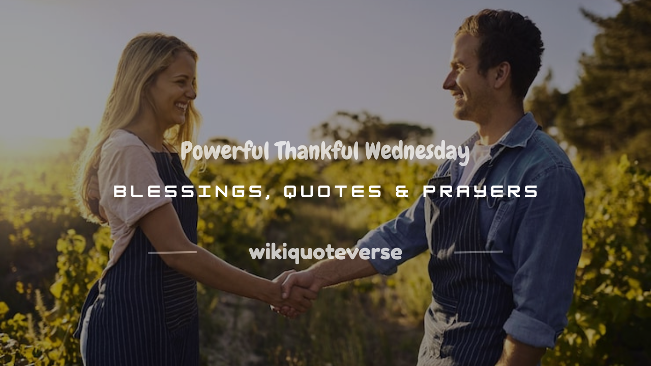 thankful wednesday
